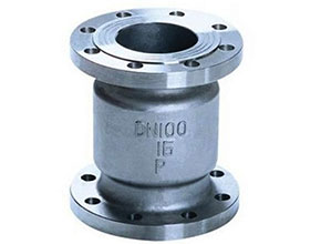 stainless steel vertical check valve